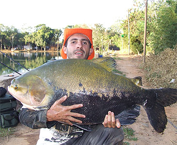 Good example photograph