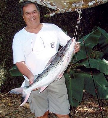 Record photograph for Platynematichthys notatus