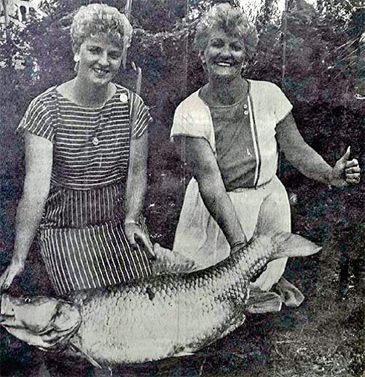 Record photograph for Labeobarbus kimberleyensis