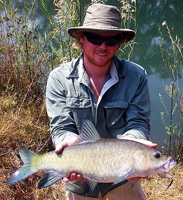Record photograph for Labeobarbus trachypterus