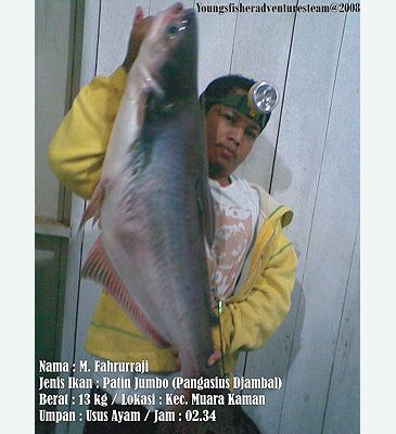 Record photograph for Pangasius djambal