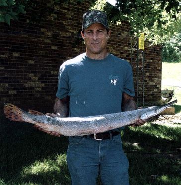 Record photograph for Lepisosteus platostomus