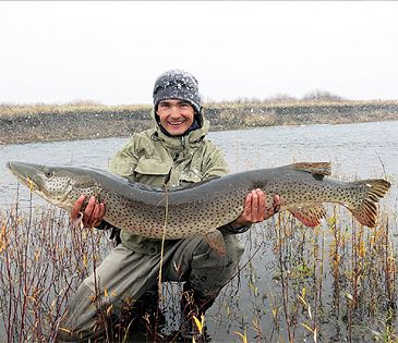 Record photograph for Esox reichertii