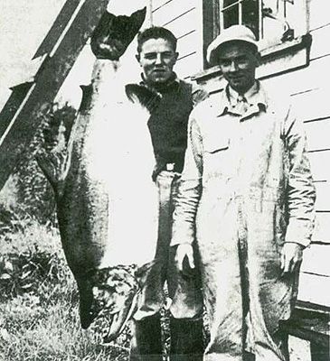 Record photograph for Oncorhynchus tshawytscha