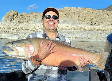 Record photograph for Oncorhynchus clarkii
