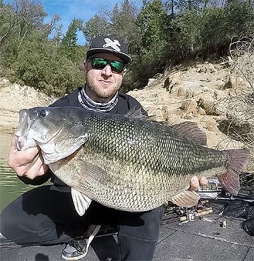 Record photograph for Micropterus henshalli