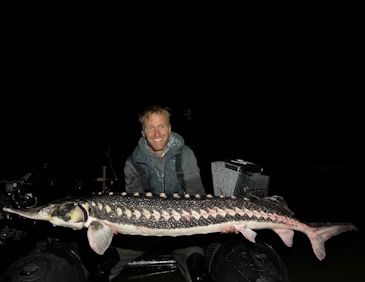 Record photograph for Acipenser stellatus