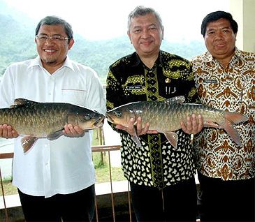 Record photograph for Neolissochilus soro