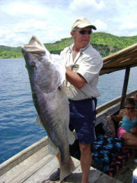 Gallery image for Ndole Bay Lodge