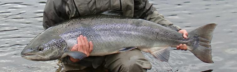 Gallery image for The Varzina River Company LTD