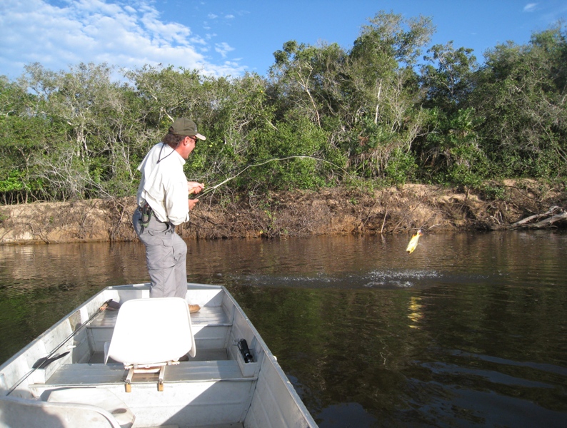 Gallery image for Bravo Expeditions