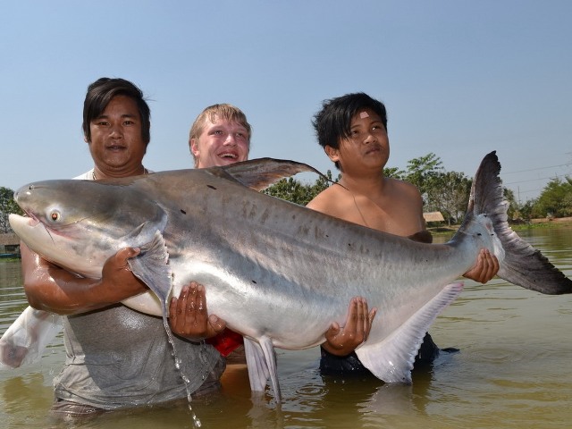 Gallery image for Palm Tree Lagoon Fishing Park & Restaurant