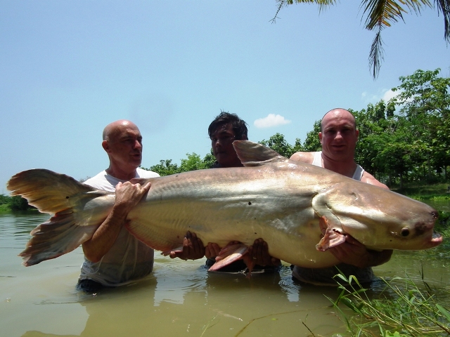 Gallery image for Palm Tree Lagoon Fishing Park & Restaurant