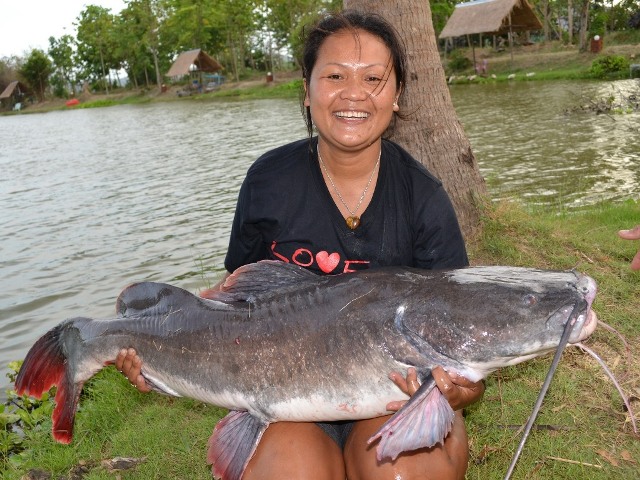 Gallery image for Palm Tree Lagoon Fishing Park & Restaurant