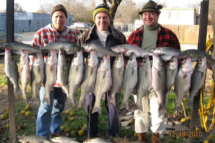 Gallery image for Doug Shaw Striper Fishing Guide