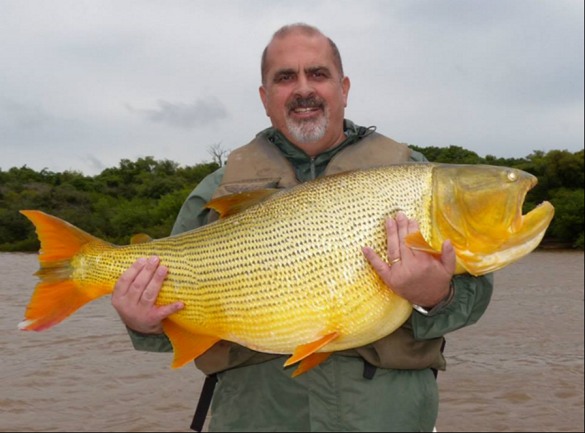 Gallery image for Argentina Fishing Adventures