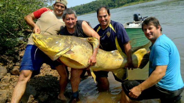 Gallery image for Argentina Fishing Adventures